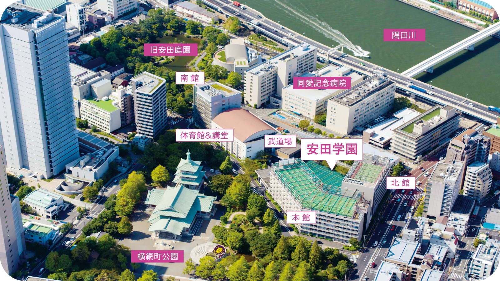 安田学園の現在地｜共学化後の躍進と2026年最新の進学実績・評判