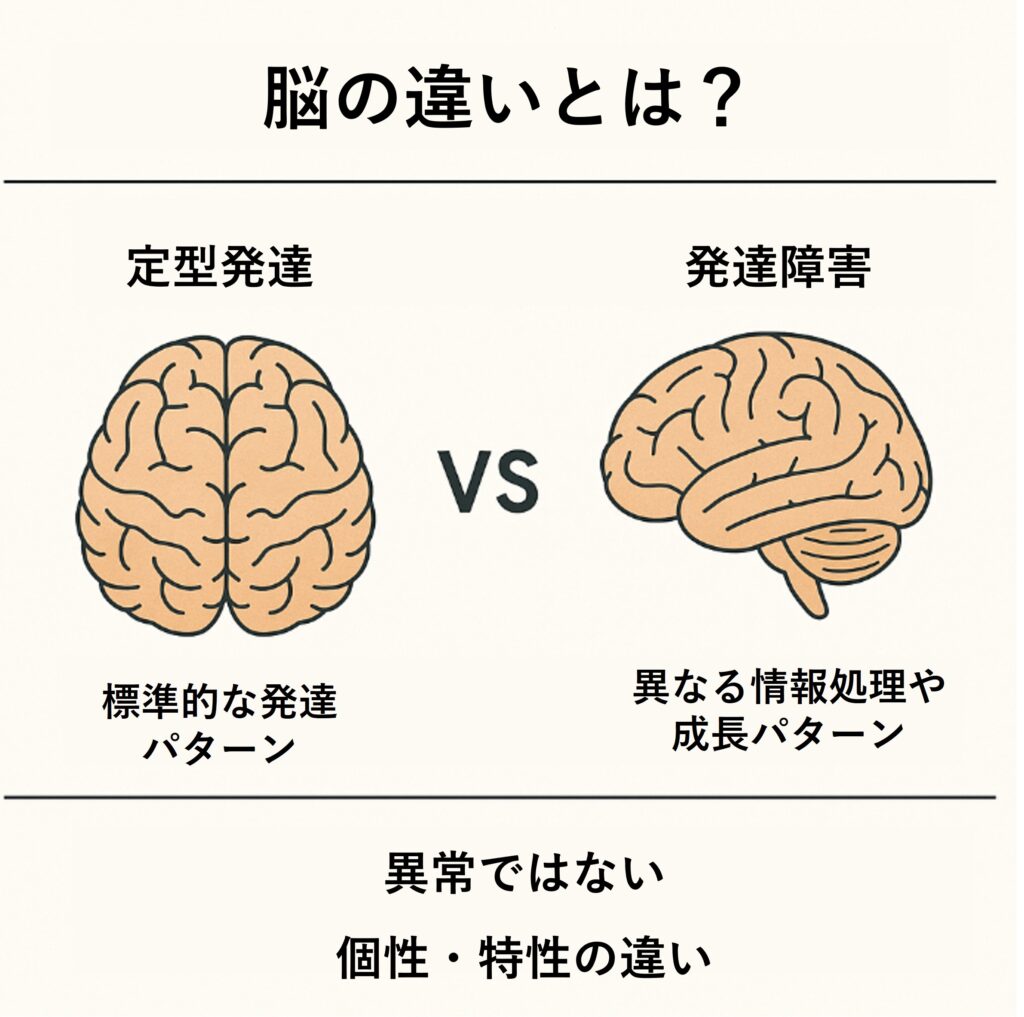 発達障害の脳で何が起きているのか？定型発達との違いと最新科学の真実