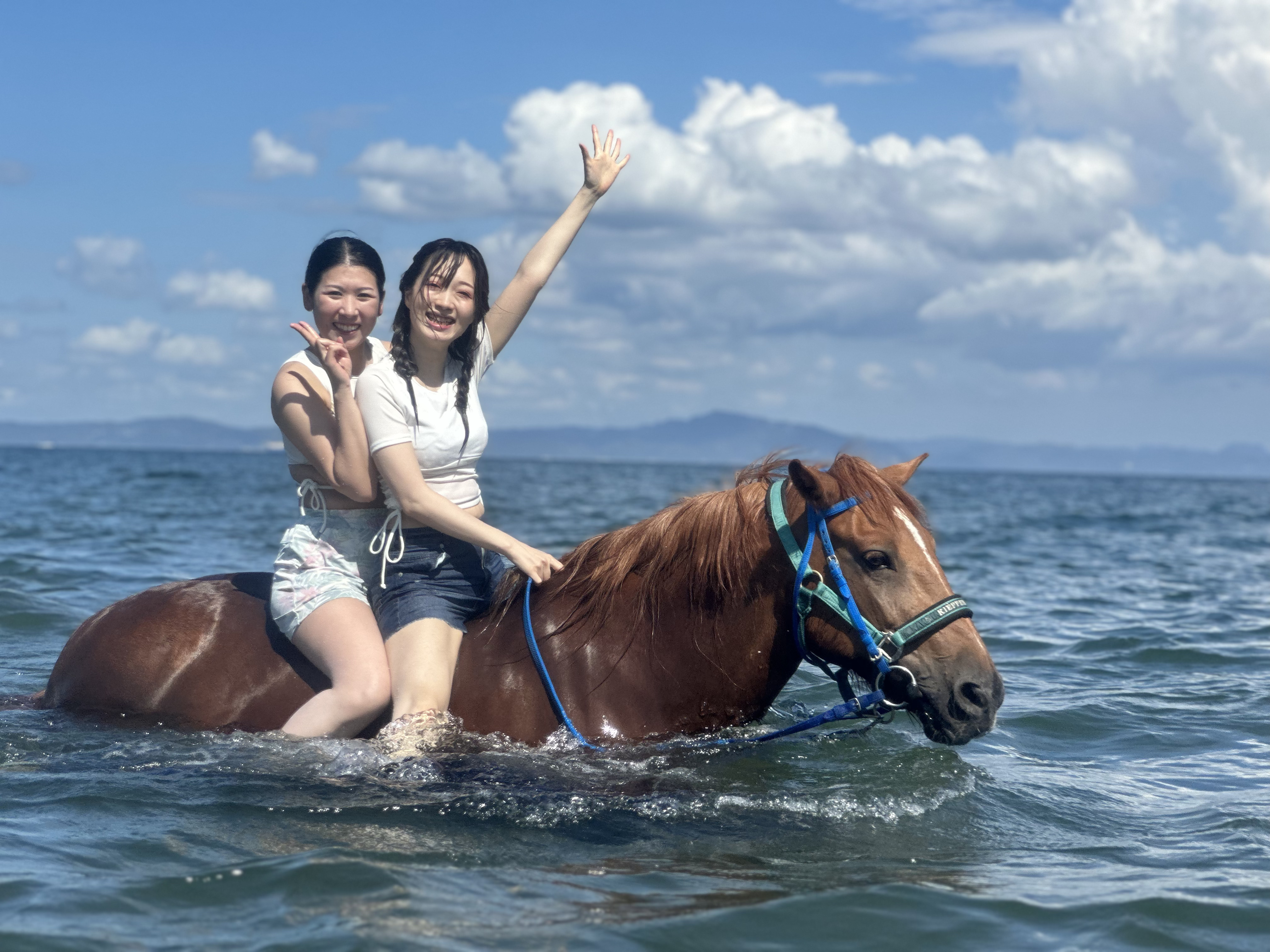 ホーストレッキングファーム三浦海岸の評判は？海を走る乗馬の魅力と2026最新ガイド