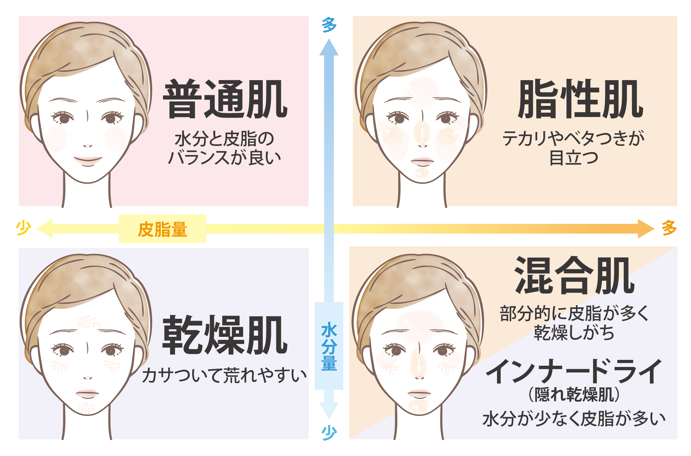 顔の皮脂が多い原因は乾燥？2026年最新のテカリ改善スキンケア術