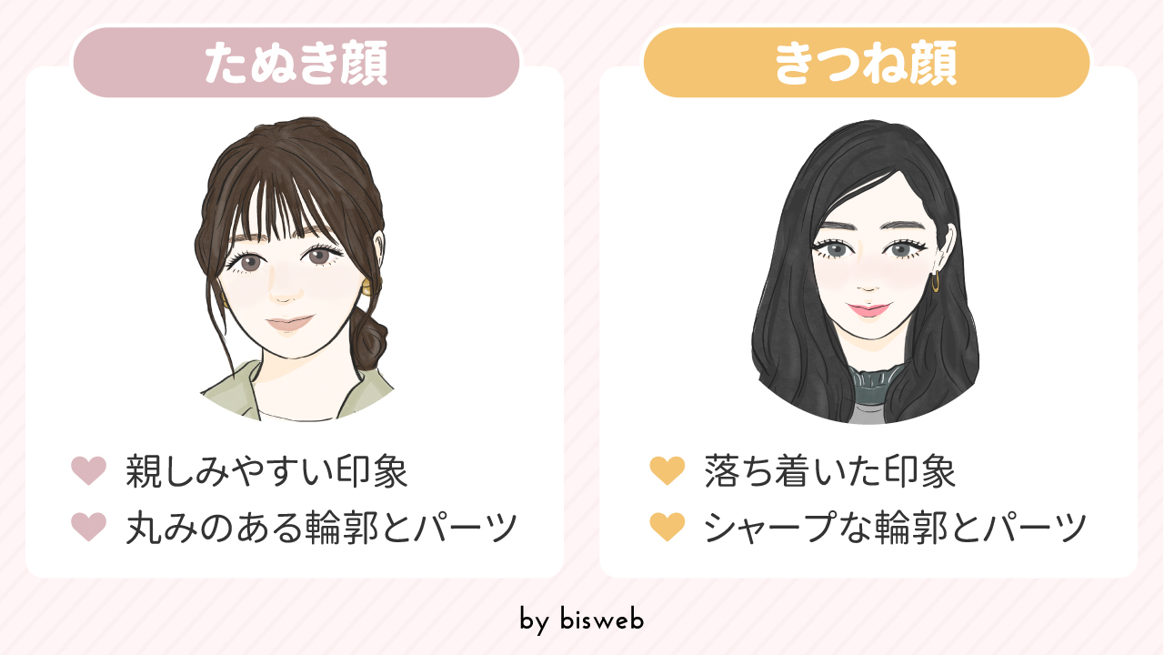 たぬき顔芸能人の魅力と特徴を徹底解剖！愛される理由と最新ランキング
