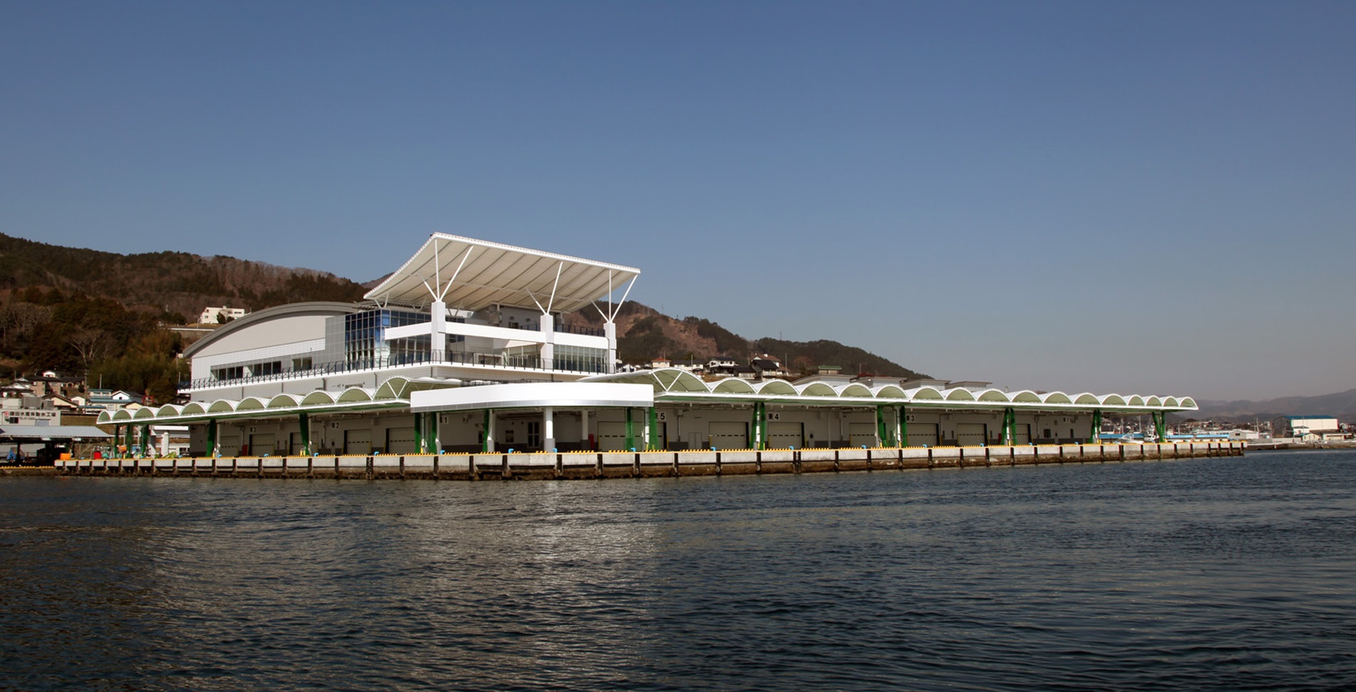 大船渡魚市場の一般開放・絶品海鮮丼を徹底取材！セリ見学と2026最新事情