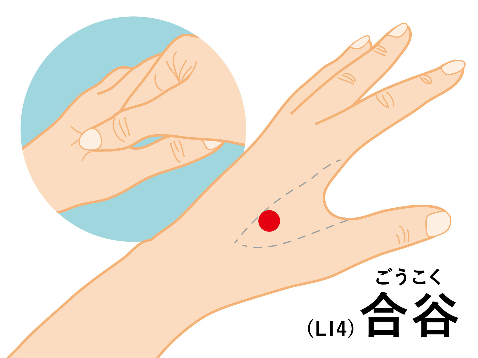 眠気を覚ますツボ徹底解説！仕事や運転中の睡魔を即効打破する決定版