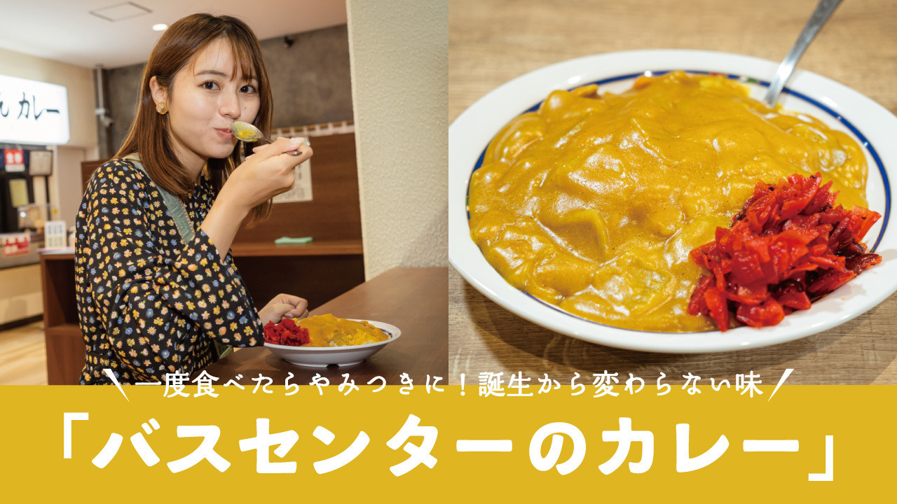 なぜ大行列？新潟バスセンターカレーの中毒性の真相と最新購入ガイド