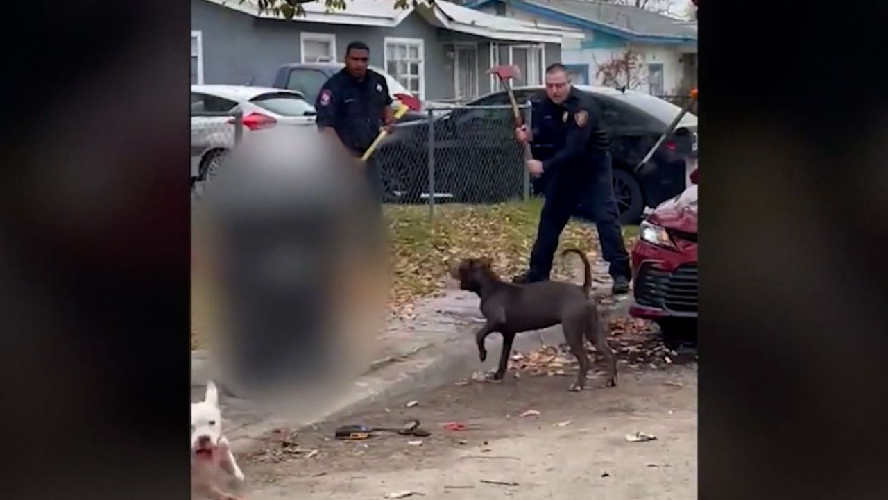 Police Are Seeking Witnesses After a Dog Attacked a Man