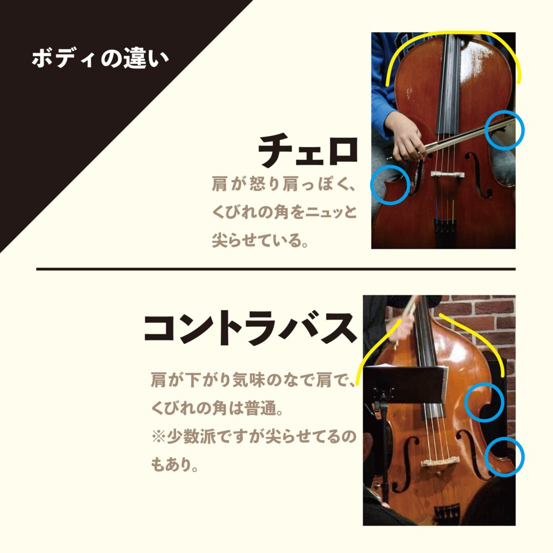 コントラバスとチェロの決定的な違い！見分け方・音域・役割を徹底解説