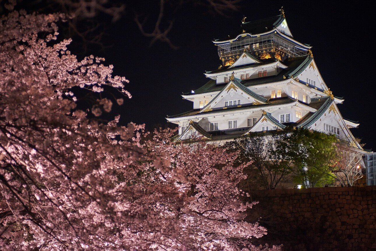 大阪城公園の桜2026！見頃満開予想と西の丸庭園ライトアップ穴場攻略