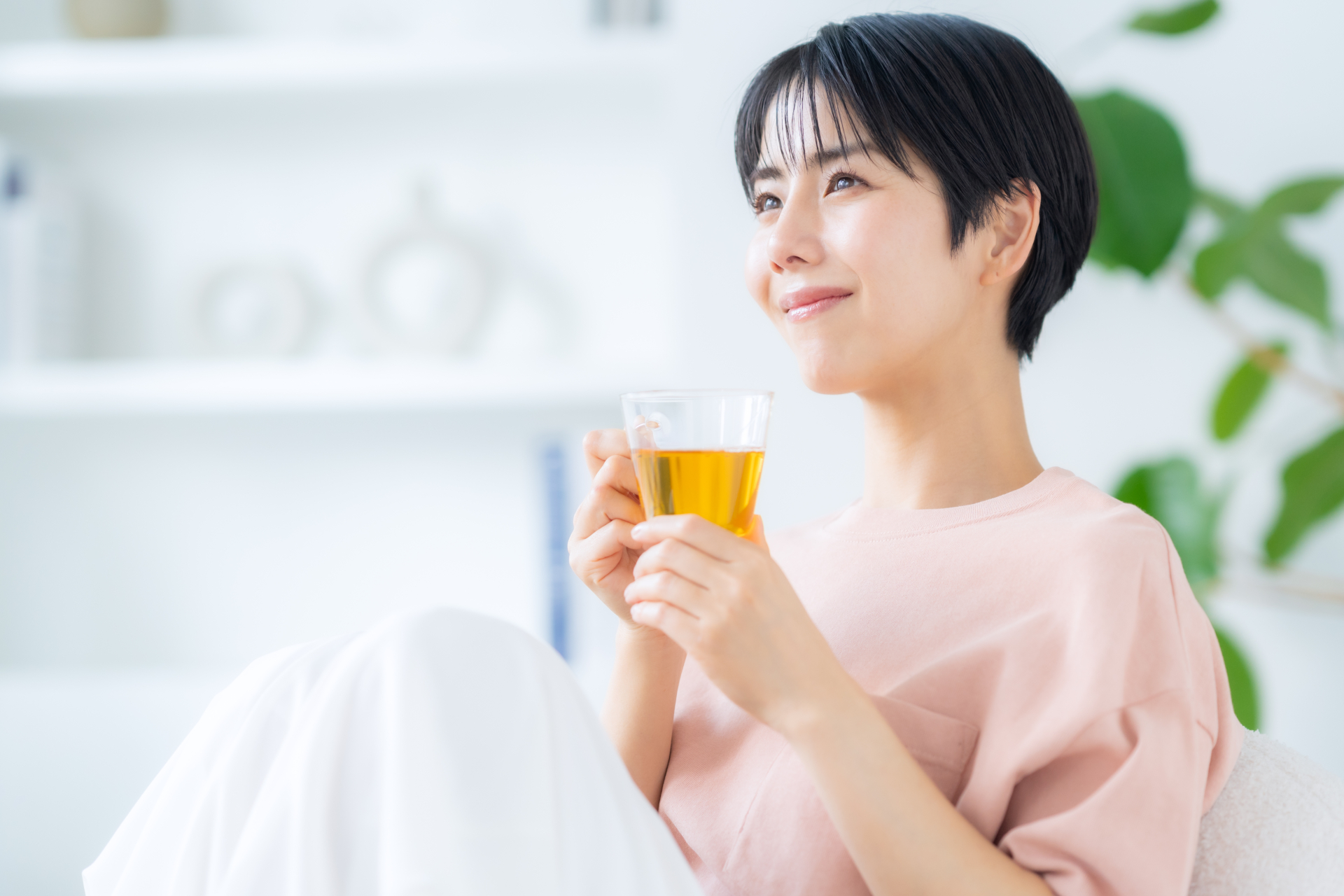 歯磨き後のお茶は虫歯の原因？緑茶・麦茶の真実と正しい水分補給法