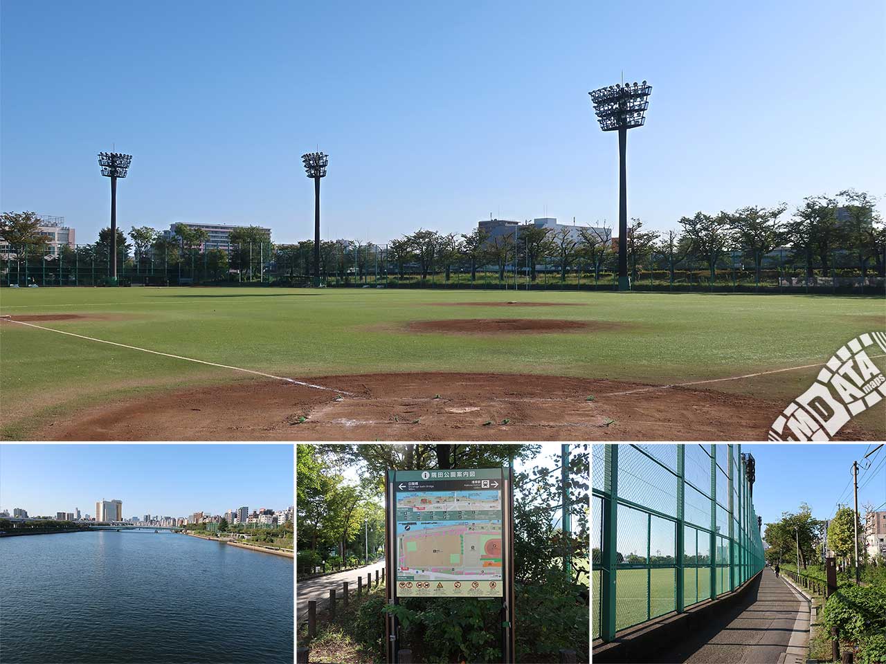 【2026年最新】台東区スポーツセンターの料金・ジム混雑＆完全活用ガイド