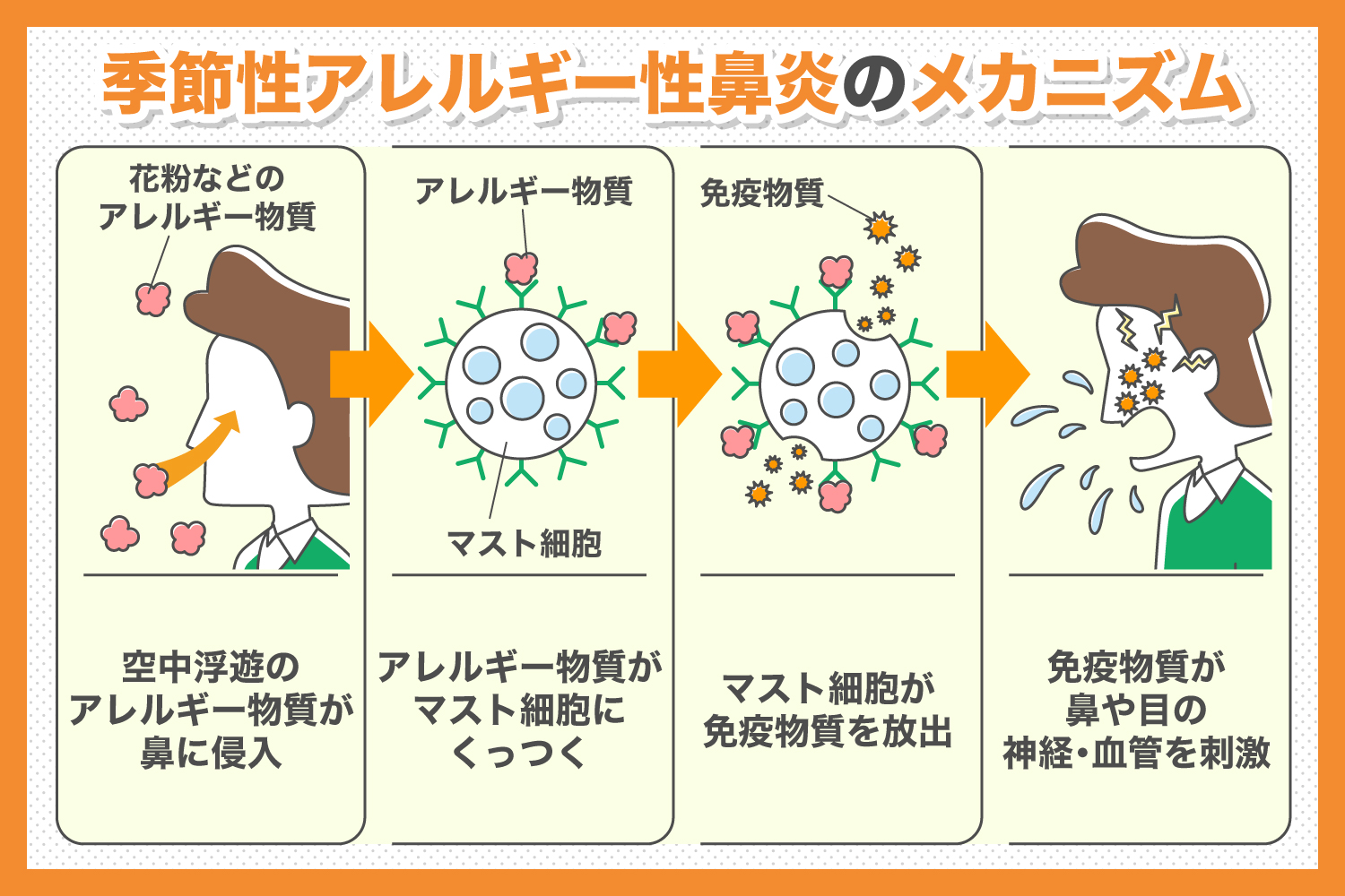 アレルギー性鼻炎と花粉症の違いとは？原因と見分け方を徹底比較