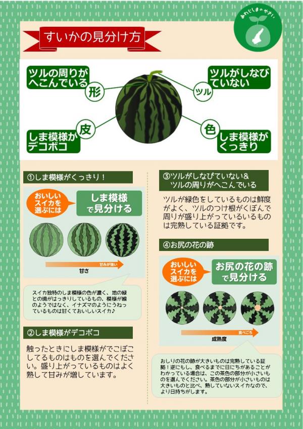 お尻のへそで激変！美味しいスイカの見分け方とプロが教える選び方