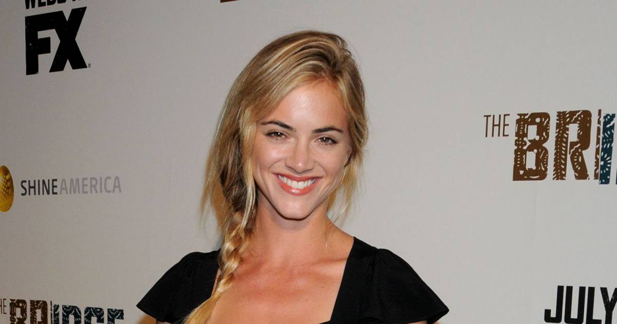 Former Ncis Beauty Emily Wickersham Stuns in Tiny Two-Piece and Chiseled Abs