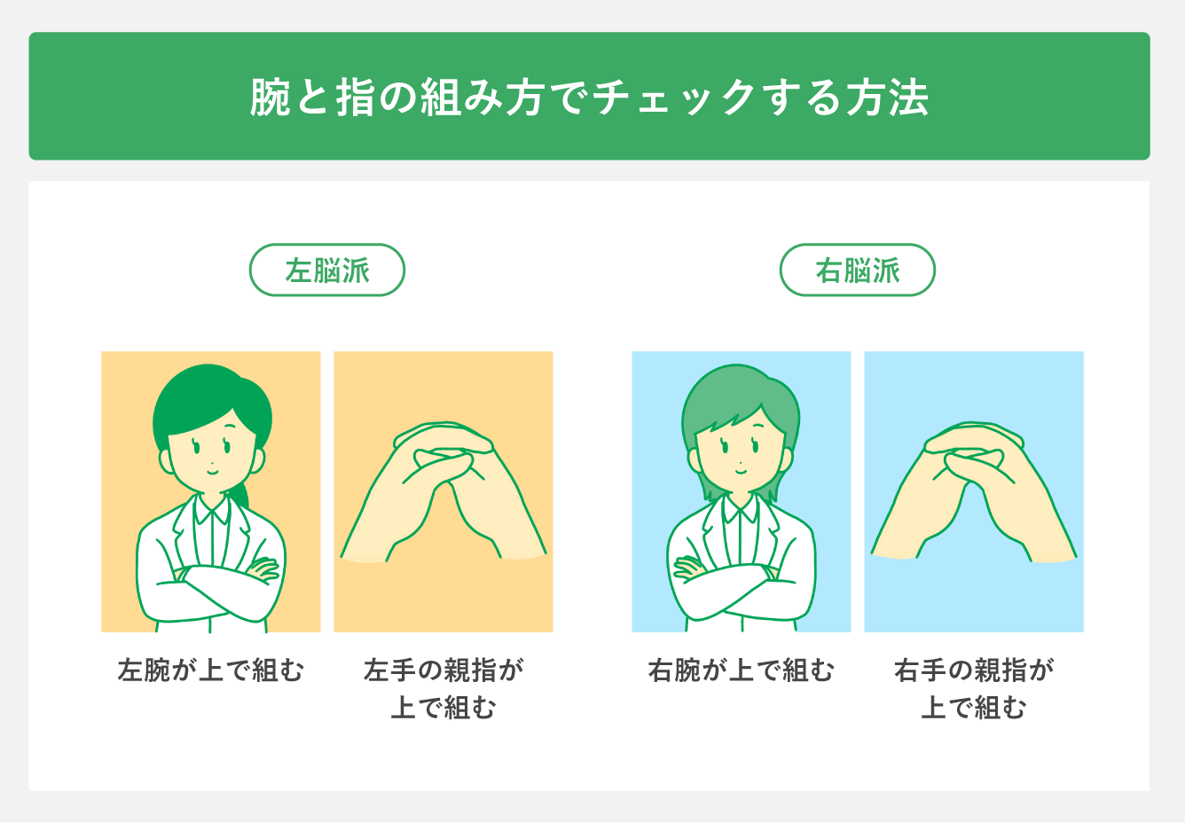 左脳派とは？特徴と右脳派との違い・手の組み方診断や適職を完全解剖
