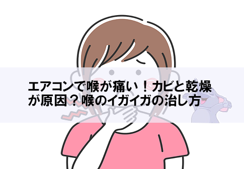 【インスタ画像】 エアコン で 喉 が 痛い 徹底解説＆真相まとめ #842