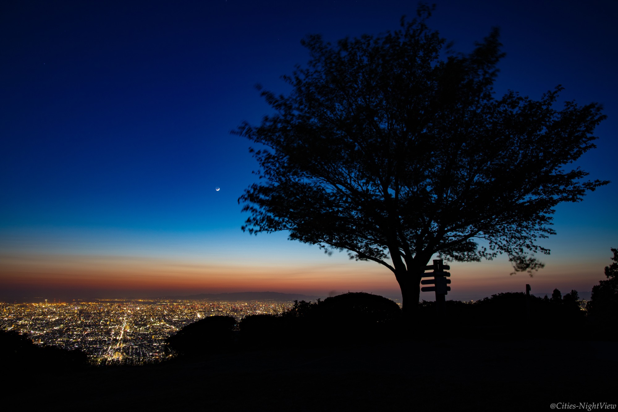 大阪の夜景を呑み込む秘密の聖地、2026年に再脚光——標高400メートルで起きている「静かな革命」の正体