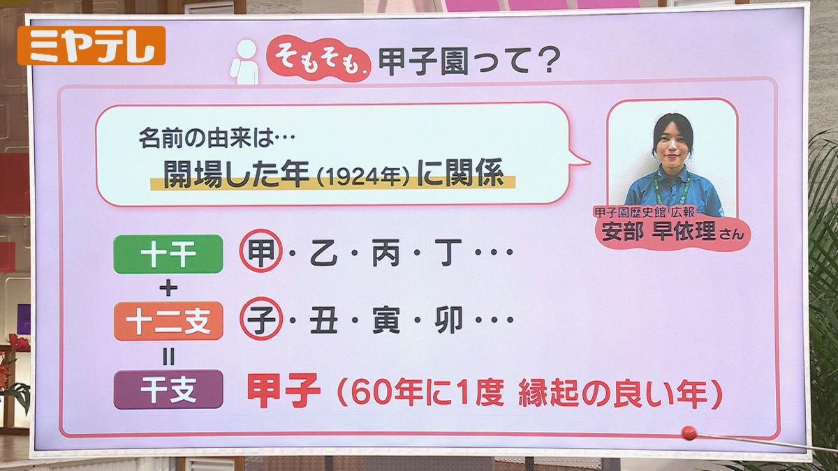 甲子園の名前の由来に隠された「甲子」の奇跡と聖地の知られざる裏側