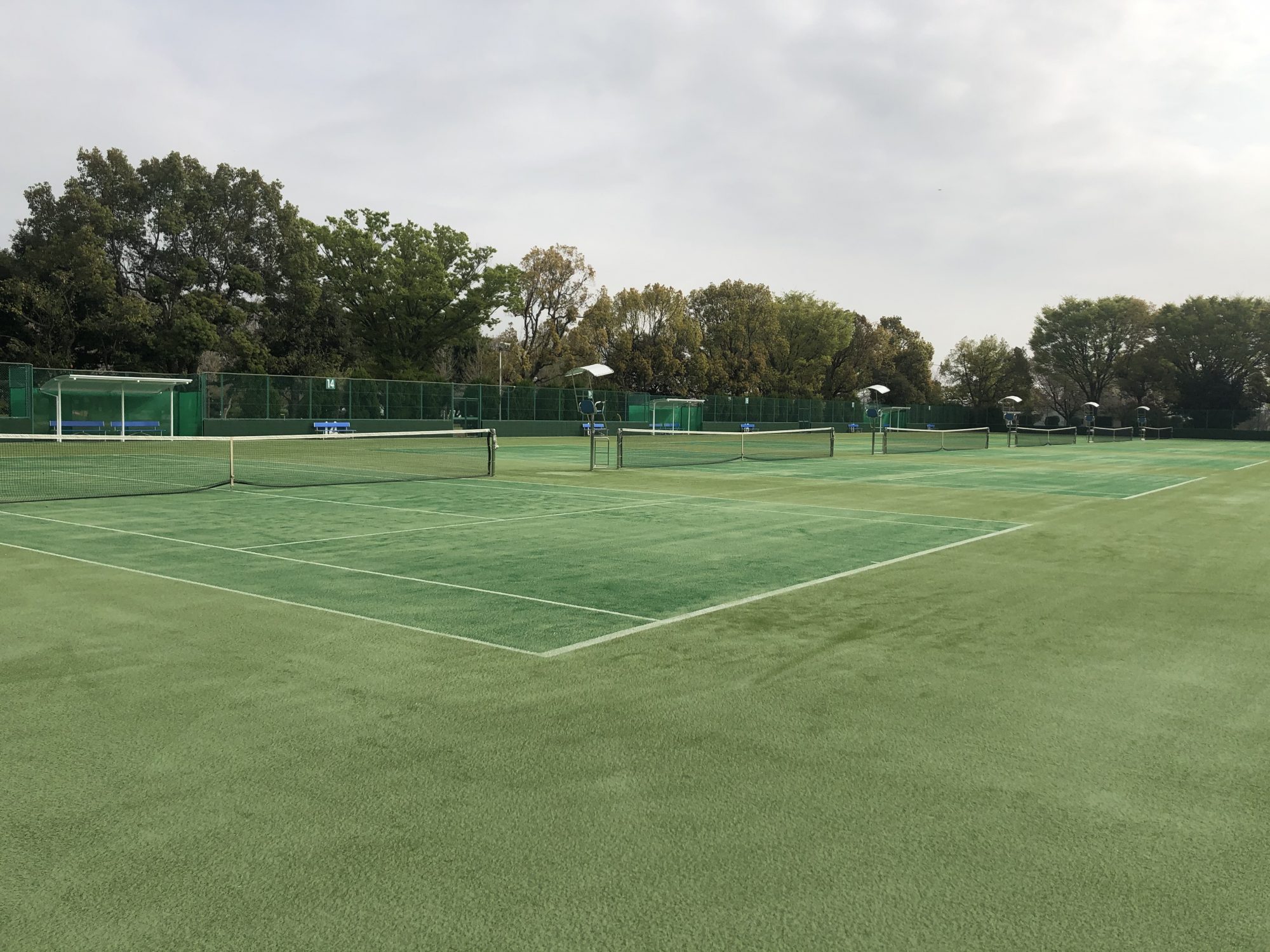 熊谷さくら運動公園の魅力を徹底解剖！遊具や予約と混雑回避の全知識