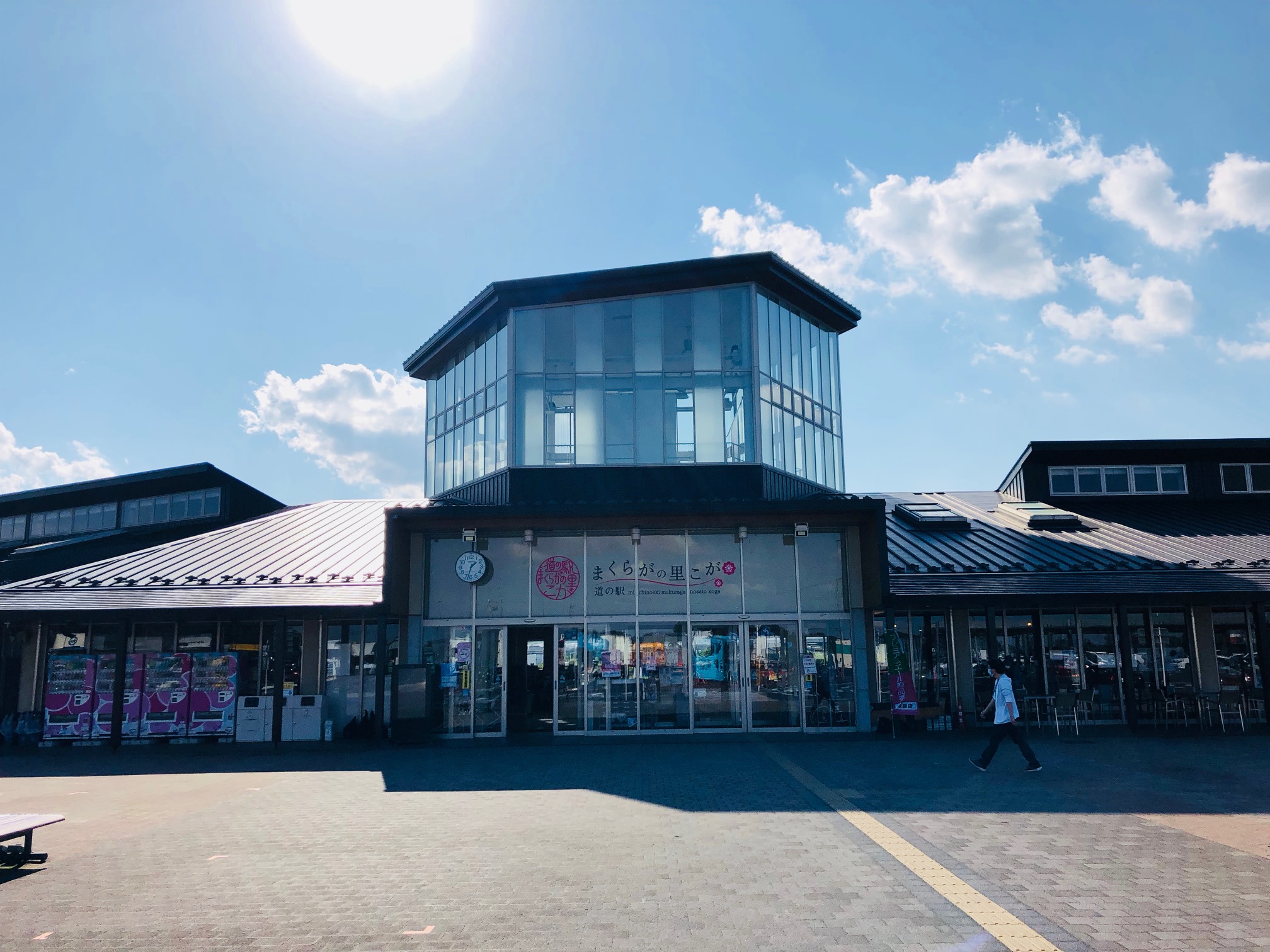 【真相】古河の道の駅はなぜ茨城最強？限定グルメと混雑回避の攻略法を徹底解説