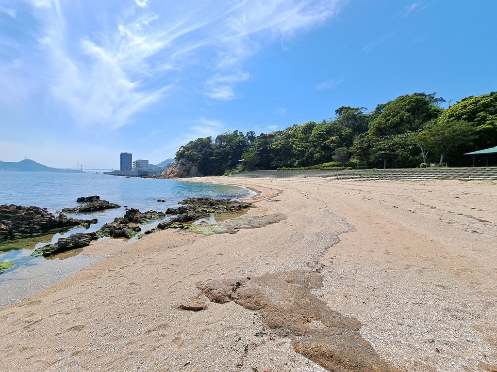 三軒屋海岸の真実！スナメリ遭遇や波情報と釣果・危険性の全貌