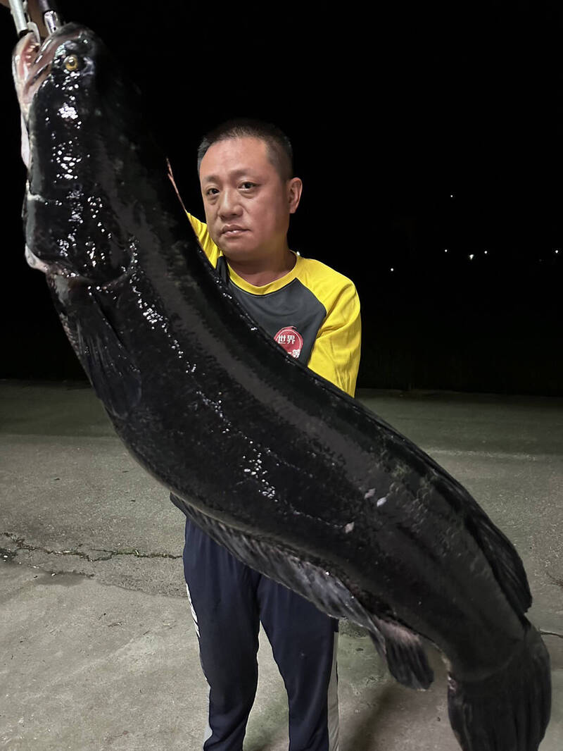 【魚に虎】何と読む？漢字「鯱」の衝撃的な由来と海の王者の謎を徹底解説