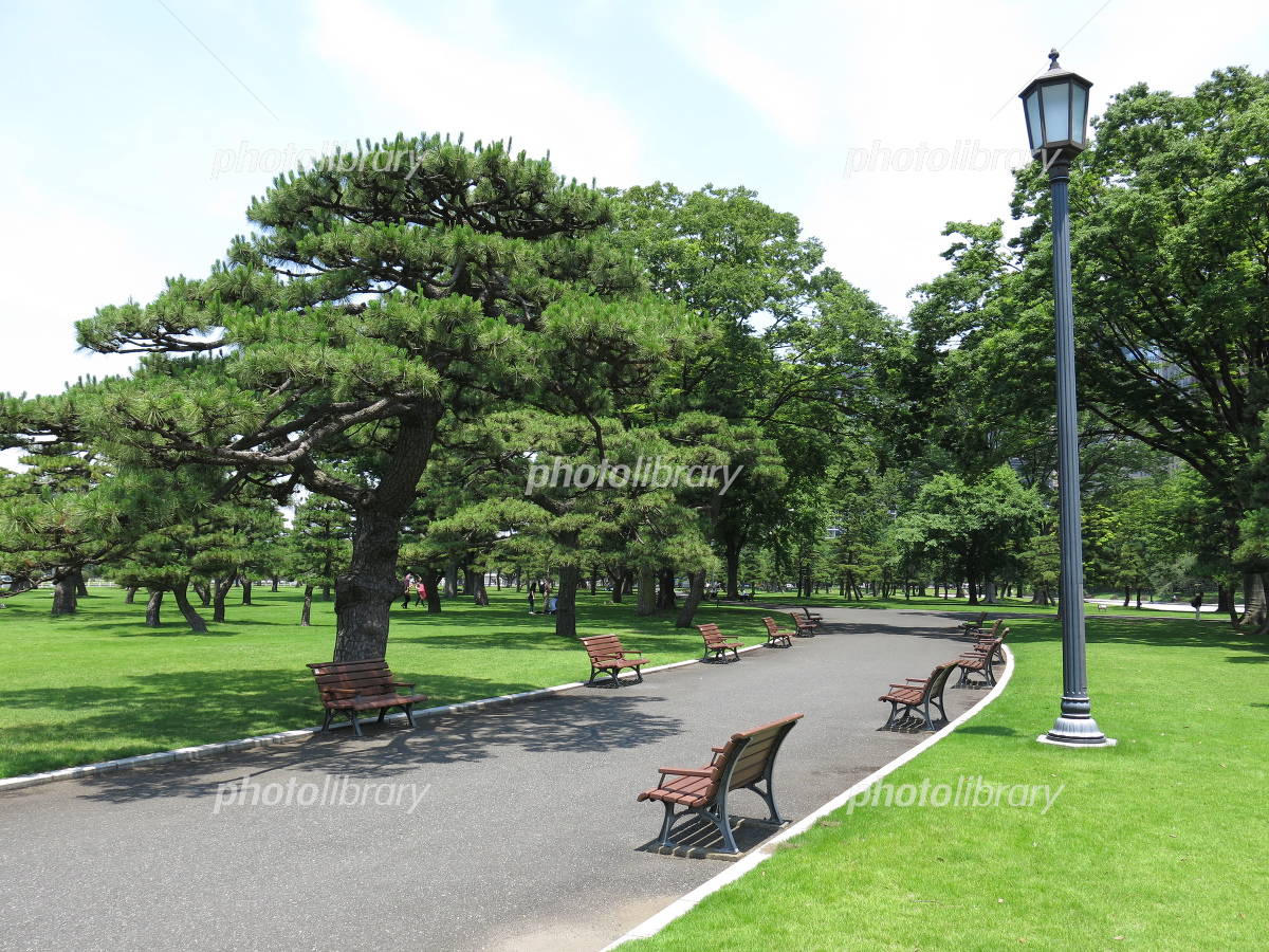 皇居の芝生でピクニックは可能？寝転べる場所と立入禁止の境界線