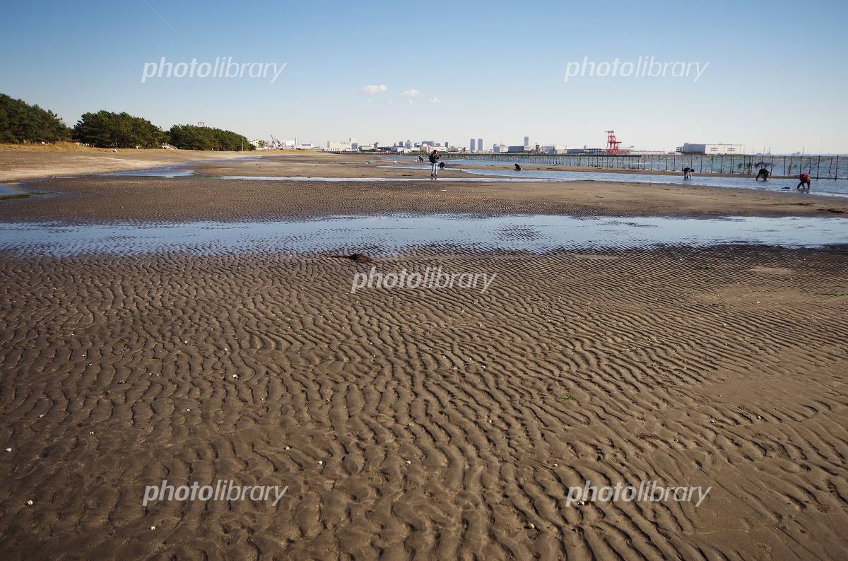 ふなばし三番瀬海浜公園の異変？混雑と新ルールを巡る噂の真相