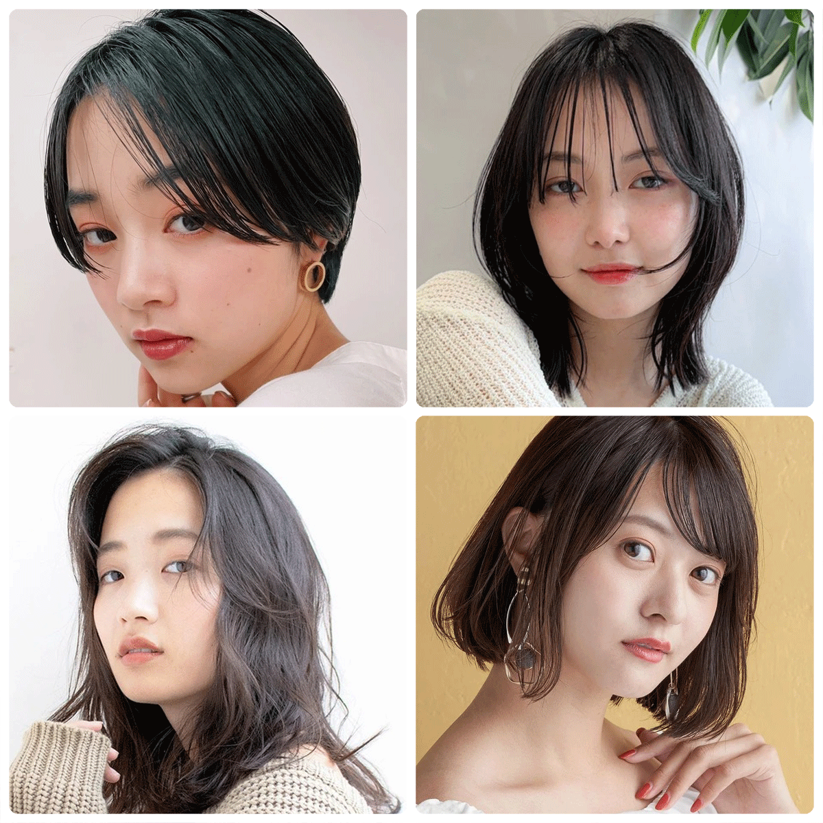 黒髪と圧倒的オーラの正体。2026年、メンズ美容の最前線を走る「ブルベ冬」男性芸能人たちの絶対的ルール