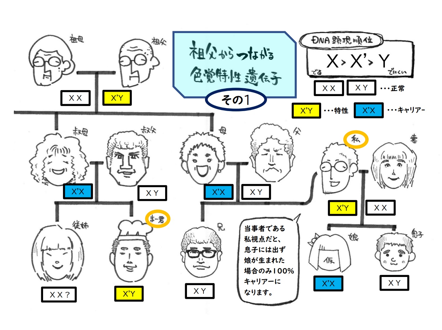 親より祖父母似？隔世遺伝の仕組みと確率・薄毛や顔の特徴を徹底解明