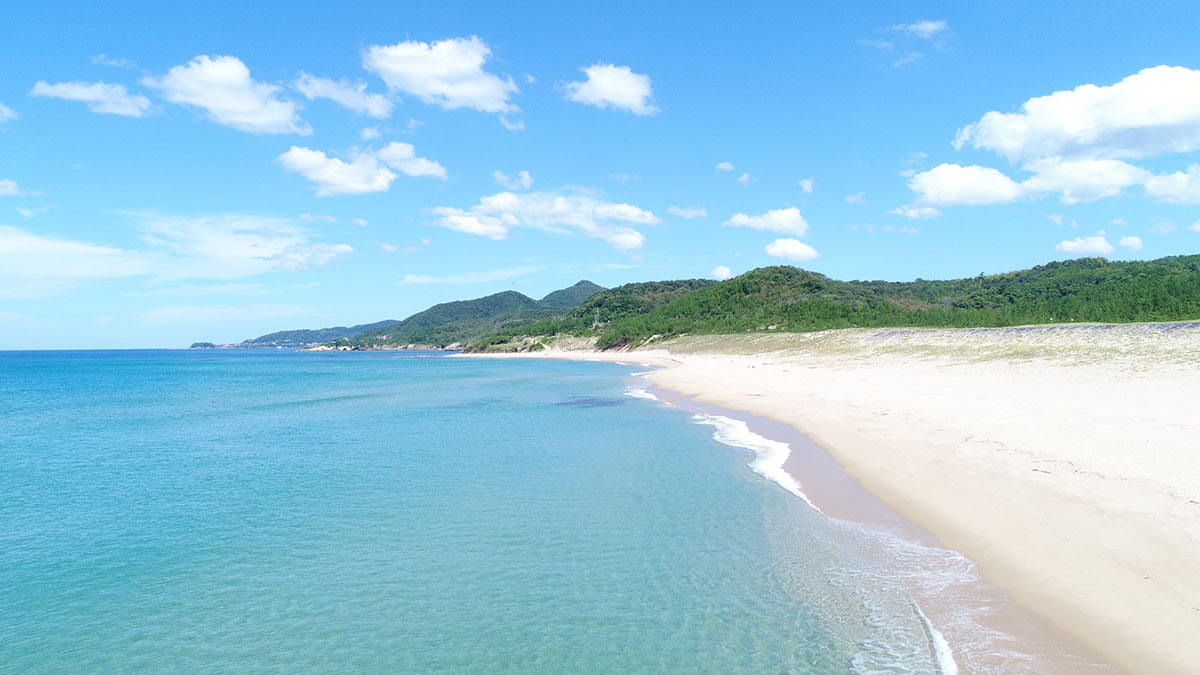 琴引浜海水浴場2026｜鳴かない噂の真相と海開き・混雑の現地検証