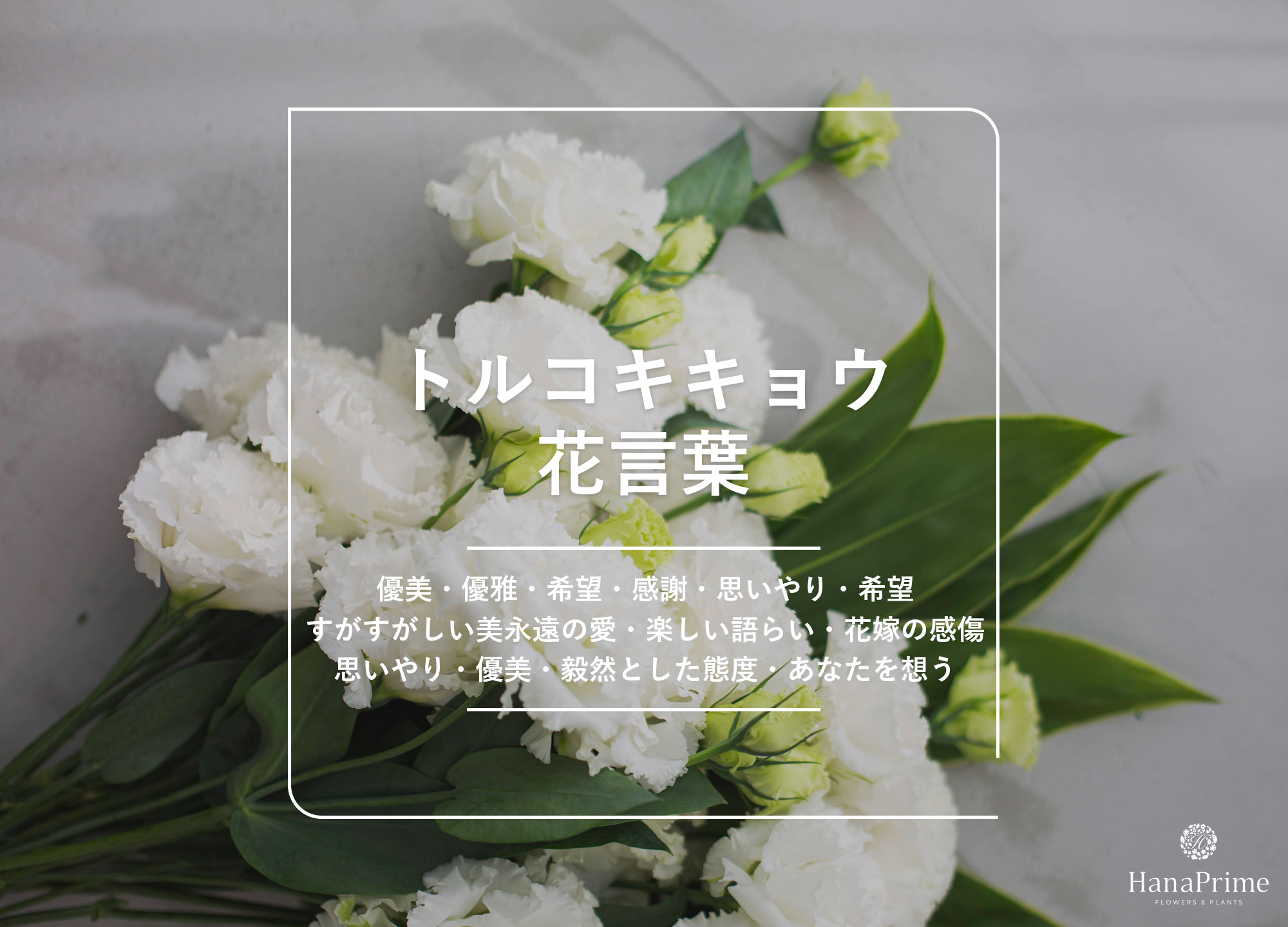 トルコキキョウの花言葉は怖い？色別・本数の意味と結婚式で選ばれる理由