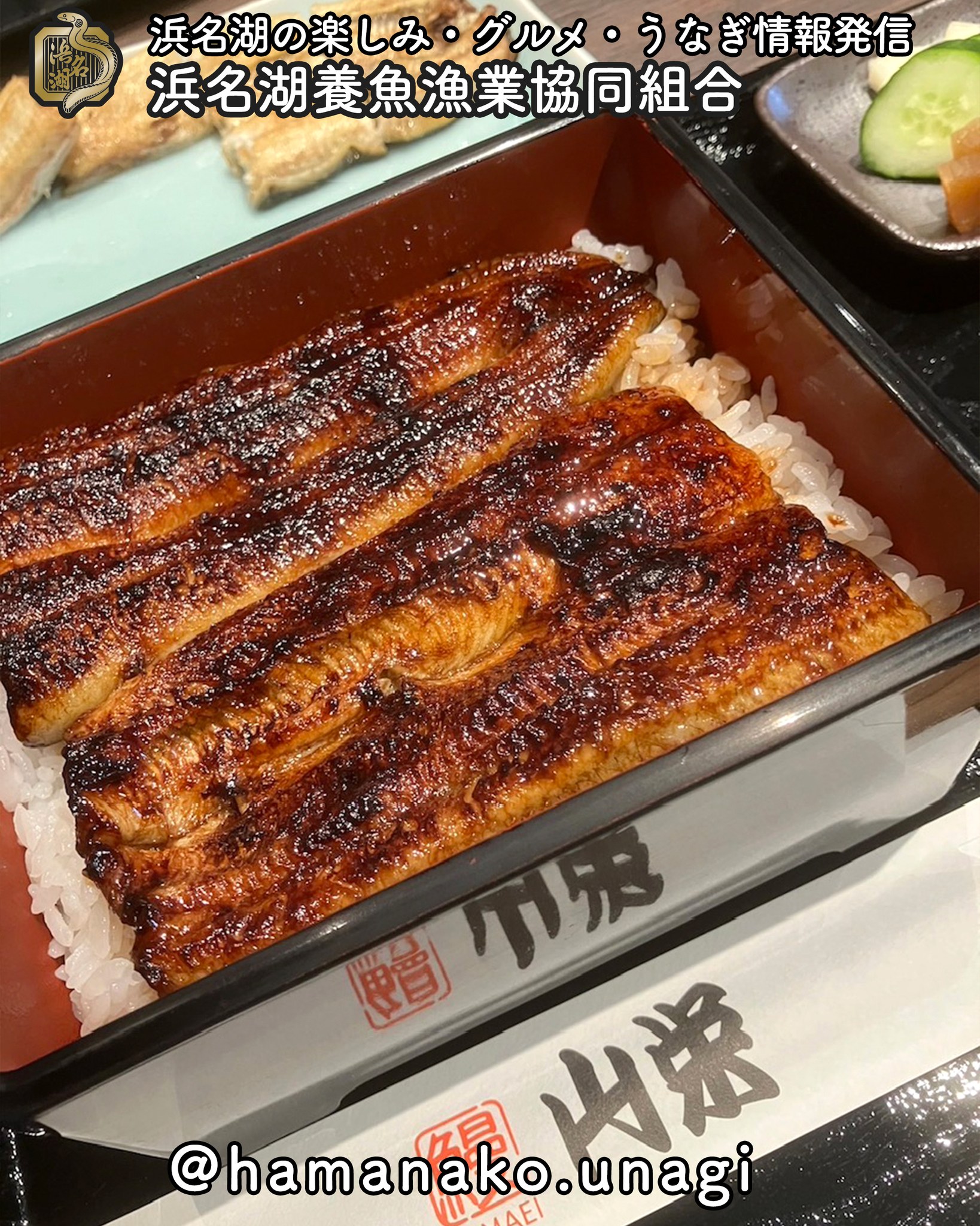 浜名湖うなぎが安い名店特集！相場半額級の穴場とコスパの秘密