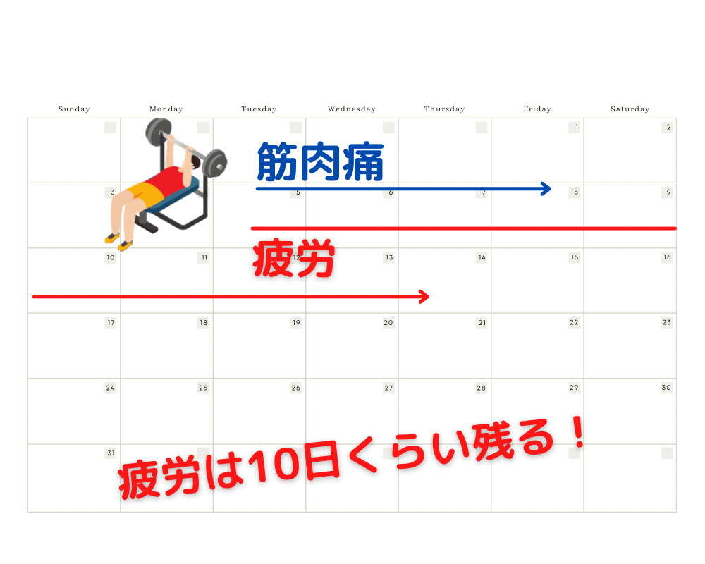 試合前の筋トレは逆効果か？勝つための最新調整法と期間別メニュー