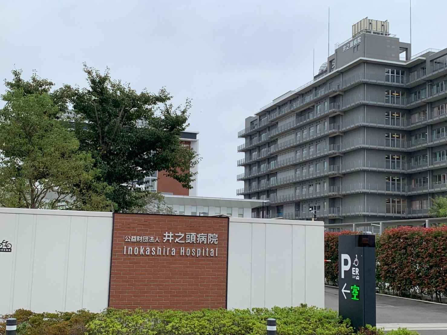 井之頭病院の評判と口コミを徹底解剖！初診予約や入院費用の真相