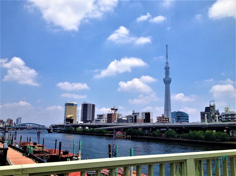 東京湾シンフォニークルーズの評判と実態｜ドレスコードと料金・予約の裏技