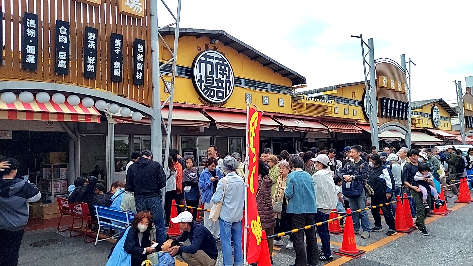 松戸南部市場の攻略完全ガイド！一般開放の実態と海鮮丼の真価