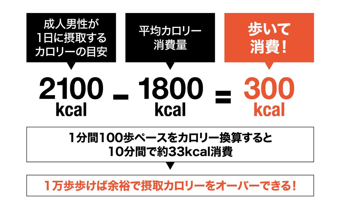 1万歩の消費カロリーの真実｜毎日歩いても痩せない理由と最新基準