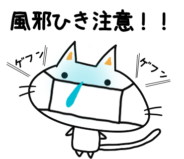 【まとめ】 風邪ひき やすく なっ た 人気理由と評判まとめ #872
