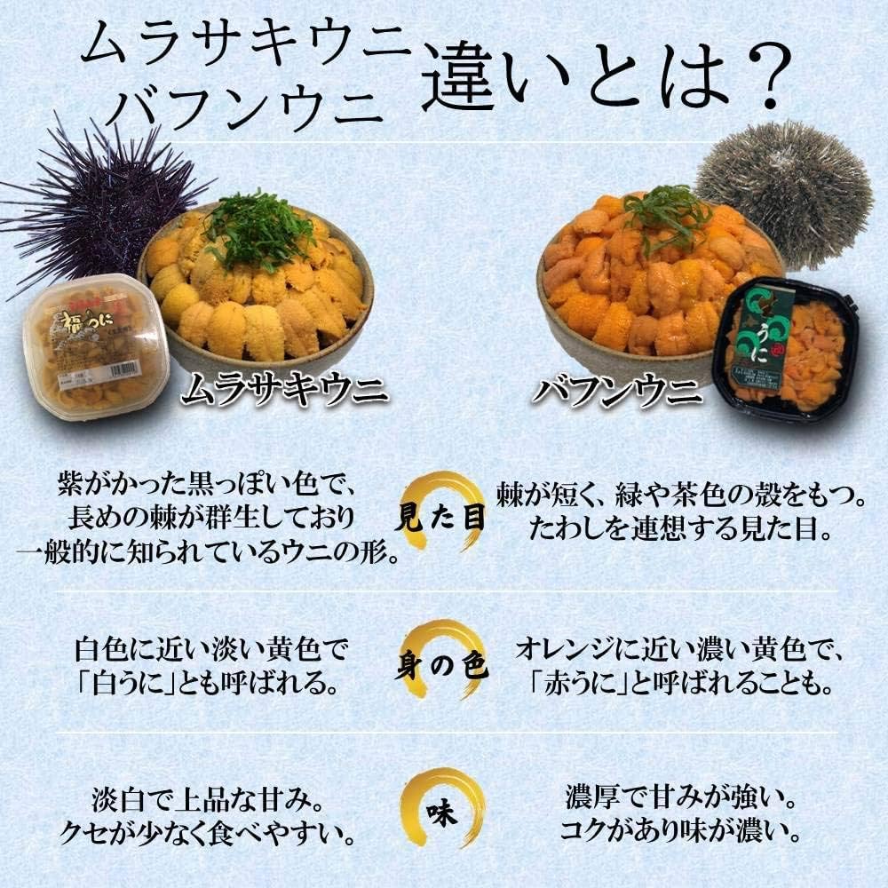 ムラサキウニとバフンウニの違いをプロが徹底比較！味と旬・選び方の真相