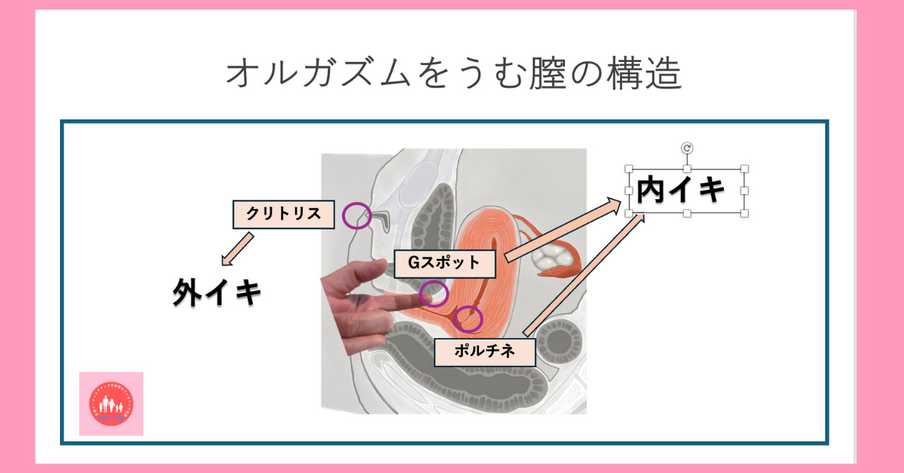 Gスポットが気持ちいい理由とは？位置・刺激のコツと尿意の真相を徹底解説