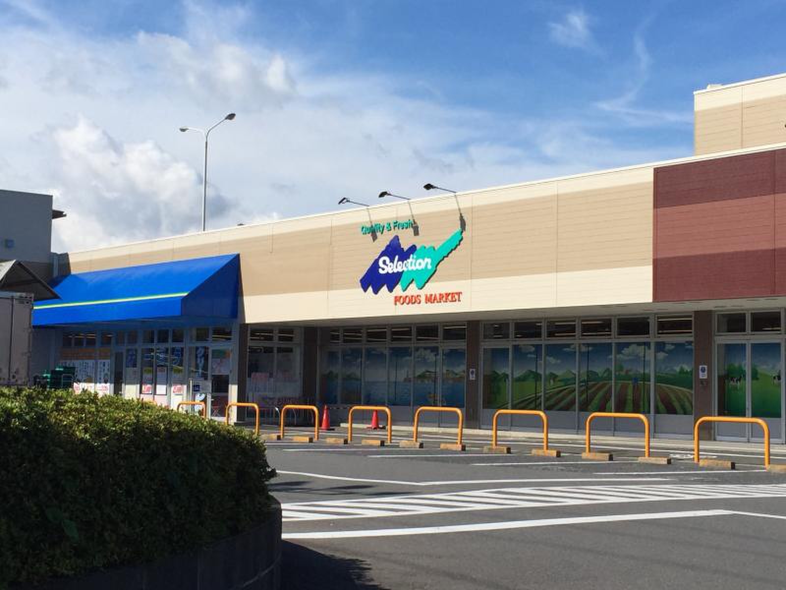 セレクション青葉台店の激安の真相！2026年最新の評判と混雑攻略