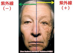 顔より老ける？「手元の紫外線対策」が2026年の新常識に。今すぐ選ぶべき最新トレンド