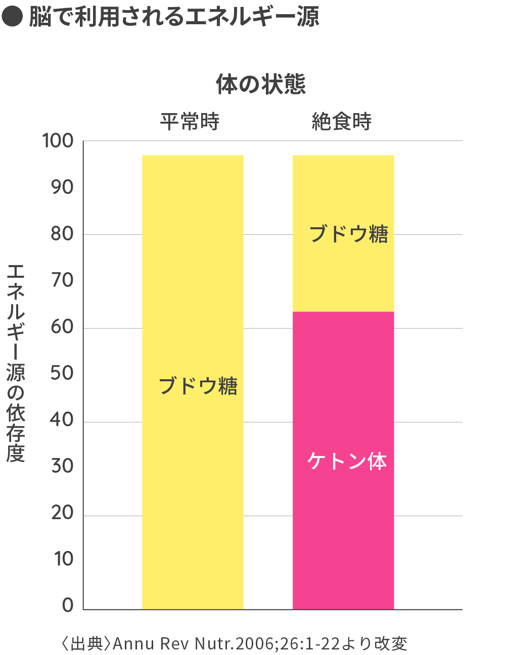 「脳の主食はブドウ糖だけ」の嘘！ケトン体がもたらす集中力と脳革命