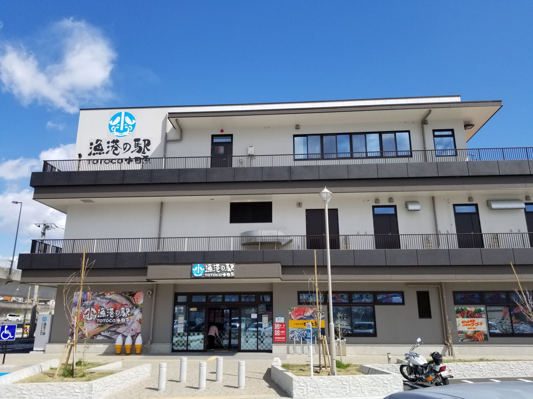小田原漁港とと丸食堂の混雑・整理券攻略と人気メニュー徹底検証
