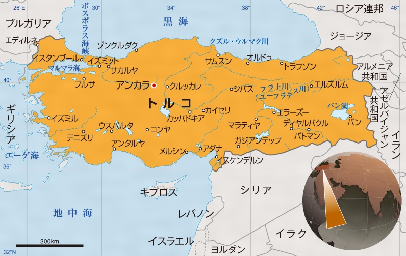 トルコキキョウの花言葉と色別の意味！贈る際の注意点も徹底解説