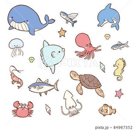 【熱愛】 海 の 生き物 かわいい イラスト 最新写真集＆動画まとめ #766