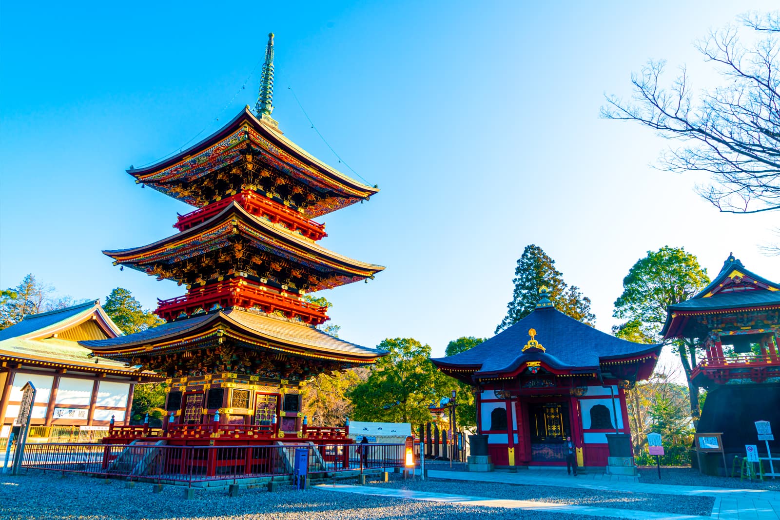 ディズニーから房総の秘境まで！週末を変える千葉の絶景＆美食旅
