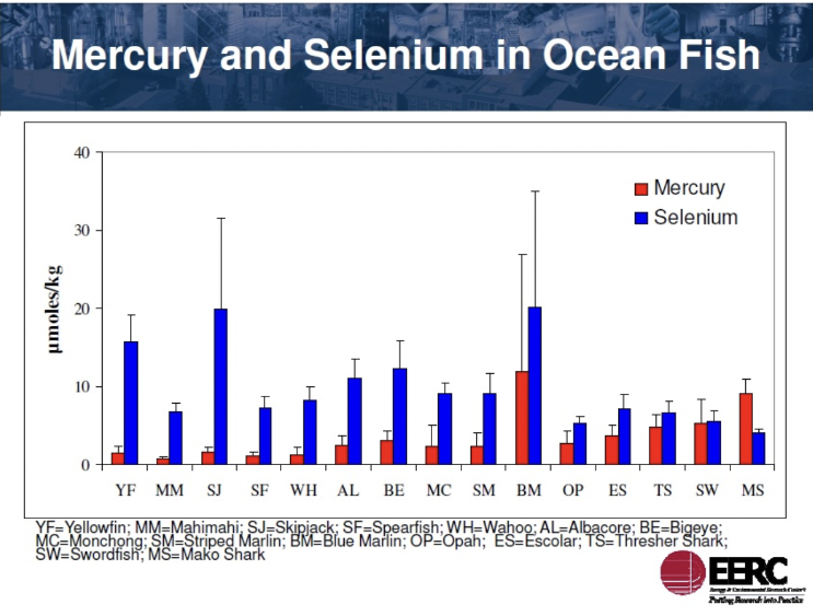 Mercury Levels in Ahi Tuna