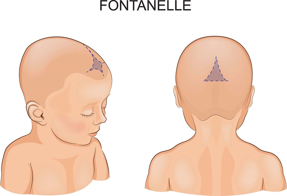 Soft Spot on Baby's Head