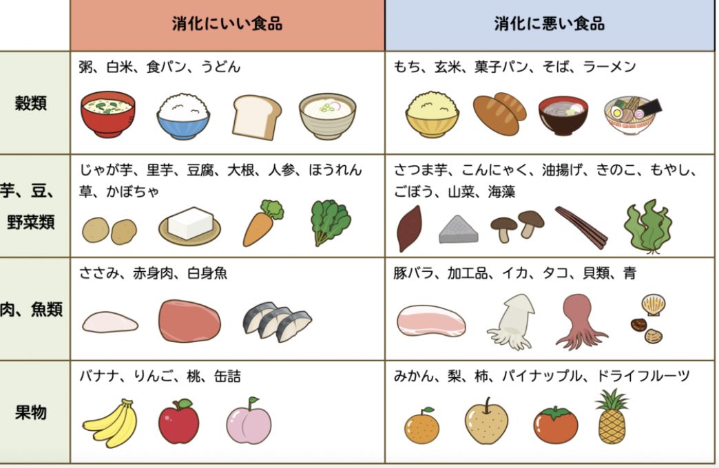 胃もたれや風邪を最速リセット！本当に消化にいい食べ物とNg食材大全