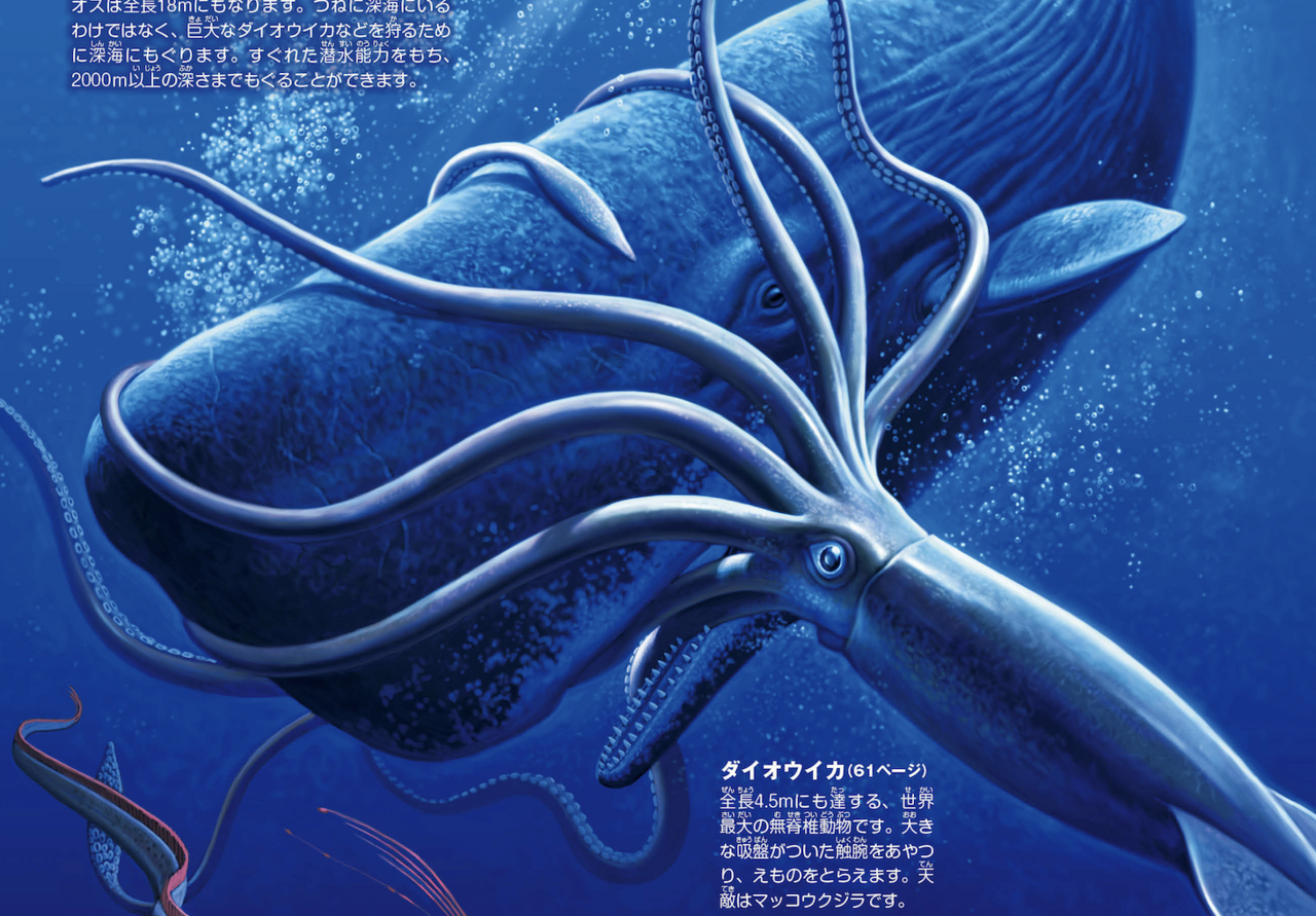マッコウクジラ対ダイオウイカ！深海の死闘と勝敗の真相